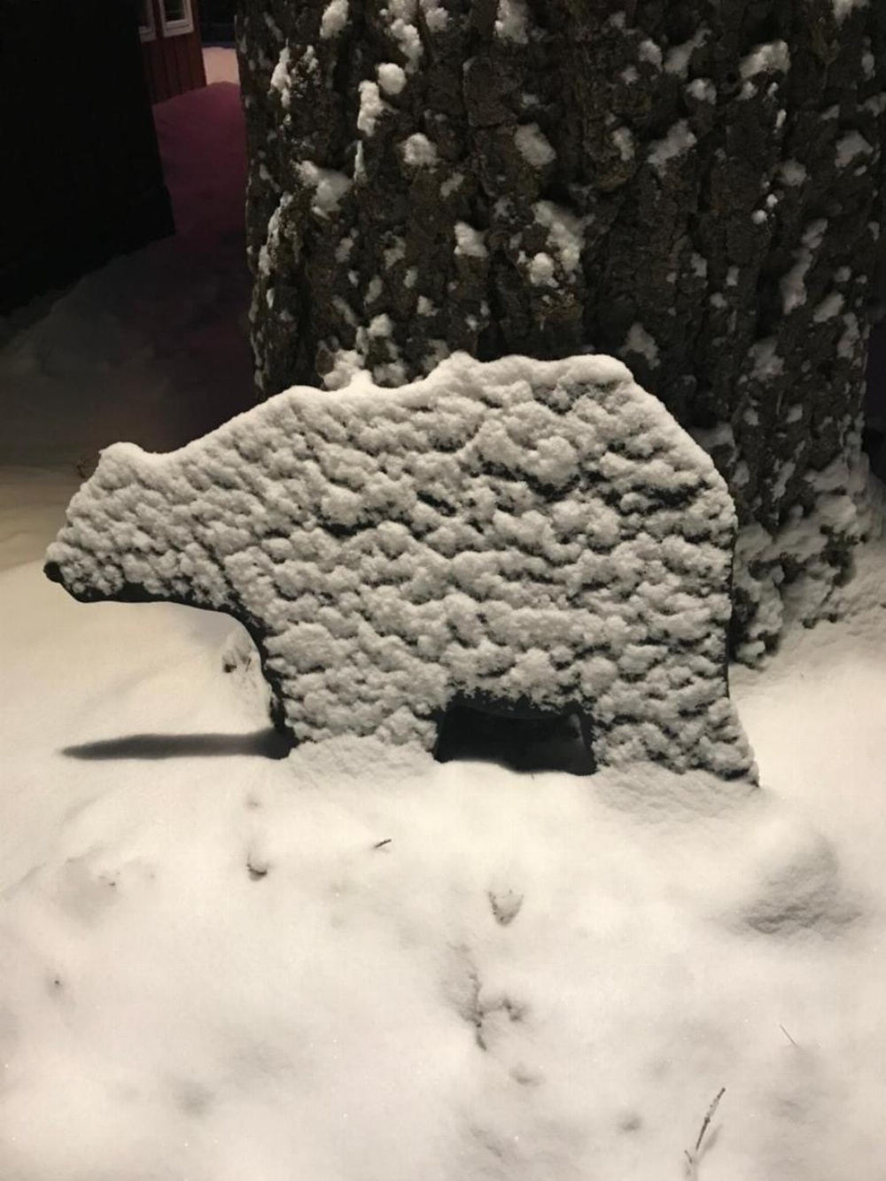 Tahoma Meadows Image 11