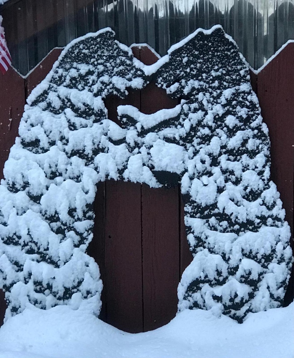 Tahoma Meadows Main image